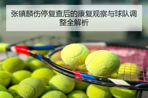 张镇麟伤停复查后的康复观察与球队调整全解析